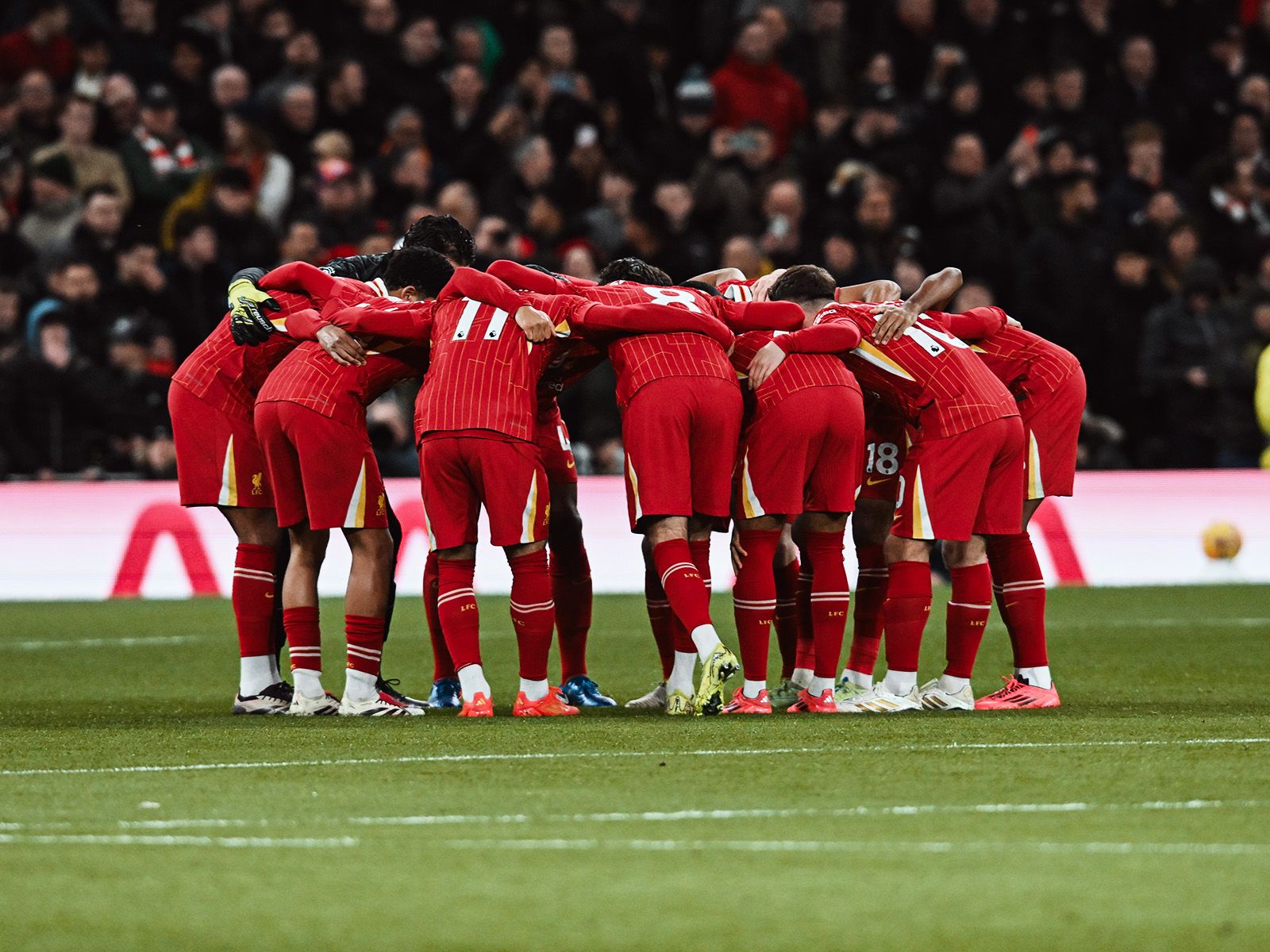 足球报：浙江队未来要争取中超冠军，卡内达是否留任还没定